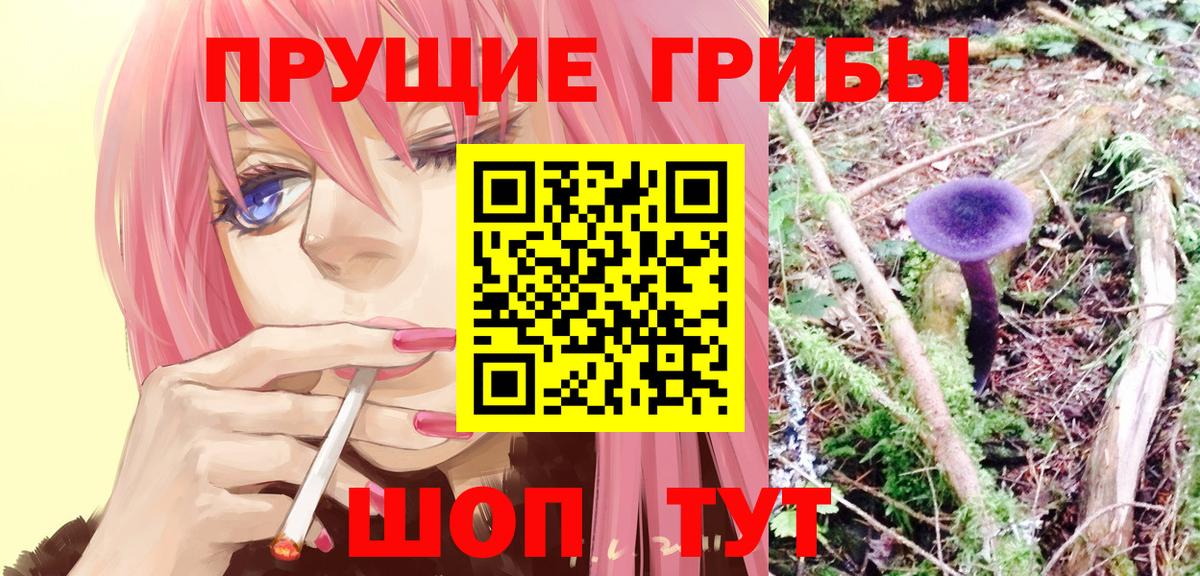 Кашира  Галлюциногенные грибы прущие грибы  Вход с VPN 